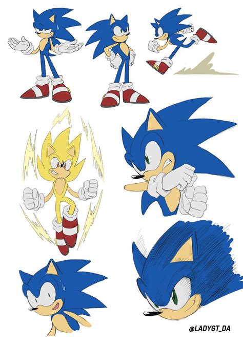 Sonic The Hedgehog Hedgehog Art Sonic Fan Characters Cartoon