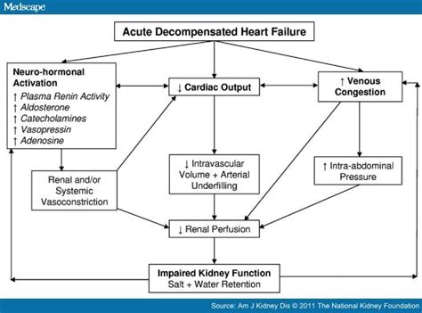 Decongestive Treatment Of Acute Decompensated Heart Failure