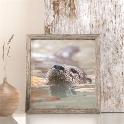 Otter Wall Art Nature Photography Print Digital Etsy