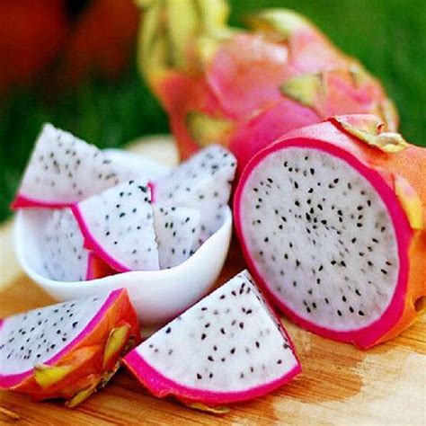 In fact, it native to mexico and south america. A Grade Dragon Fruit, Packaging Type: Carton, Packaging ...