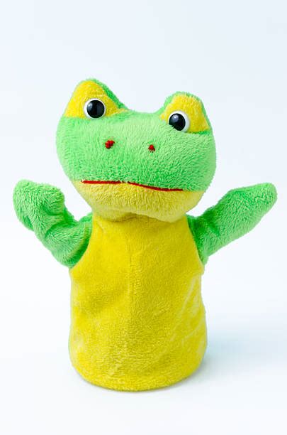 50 Frog Hand Puppet Stock Photos Pictures And Royalty Free Images Istock