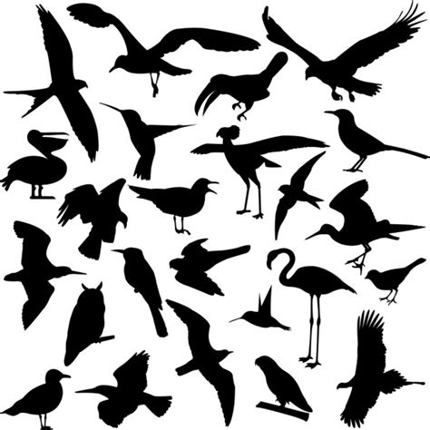 Big Collection Of Birds Stock Vector Image By ©nebojsa78 2578172