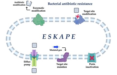 Pathogens | Free Full-Text | ESKAPE and Beyond: The Burden of