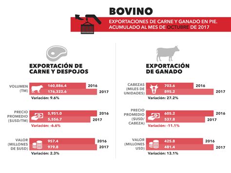 Crece 25 La Producción De Carne De Res En México