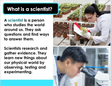 How To Be A Scientist Science Quizizz
