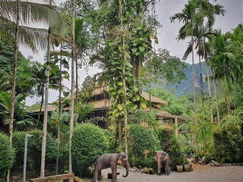Parque Nacional De Khao Sok Tailandia Y Elephant Hills Vero4travel