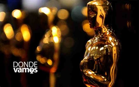 Dónde Ver Las Películas Nominadas A Los Premios Oscar 2024 Guía