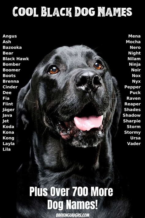 The Best Dog Names For Your New Pup Artofit