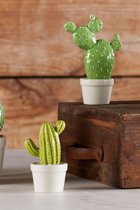 Figuring out how to plant sharp succulents can be quite a trick, but thanks to some advice from friends, i've got a few surefire techniques for you to try! Fun cactus plants without the worry of getting hurt by ...