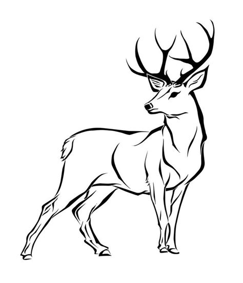 How To Draw A Deer Kids Coloring Simple Lines Draw And Sketch In