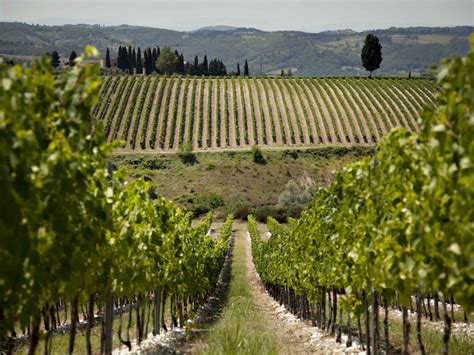 Chianti Lovers Rejoice Here Are The Best Antinori Winery Tours Its