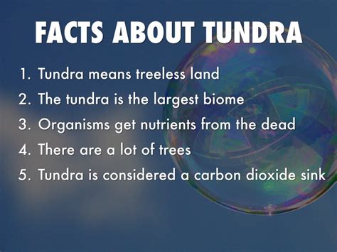 Interesting Facts About The Tundra F94