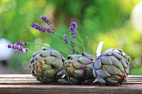 And include space for companion plants, herbs, or flowers if you're so inclined. 21 Spring Vegetable Garden Plants Perfect For Spring ...