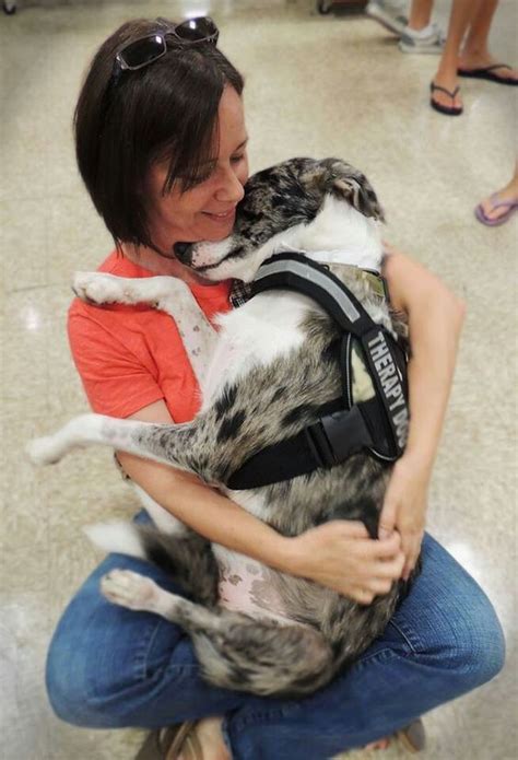 Allowed into housing units that forbid pets. How To Register Your Dog As A Therapy Animal | Therapy ...