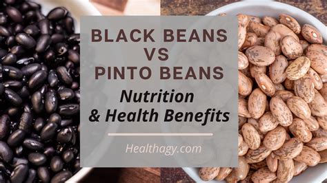 Black Beans vs Pinto Beans: Nutrition and Health Benefits - Healthagy
