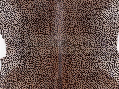 Leopard Skin Texture Image 367 On Cadnav