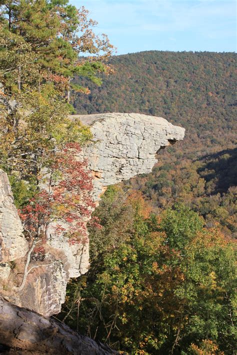Maybe you would like to learn more about one of these? Hawksbill Crag (Whitaker Point) Trail (Ozark Forest) - 3 ...