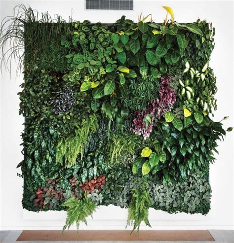 41 Awesome Plant Wall Ideas And How To Build A Diy Plant Wall In 2021