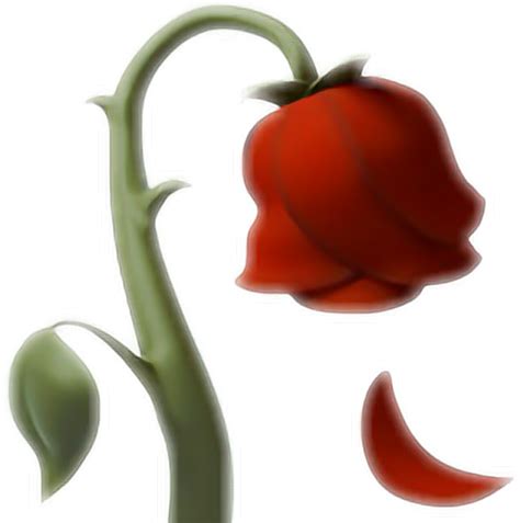 Easy to share and set as your whatsapp status. emoji rose Rosa ios10 whatsapp red love flower flor flo...