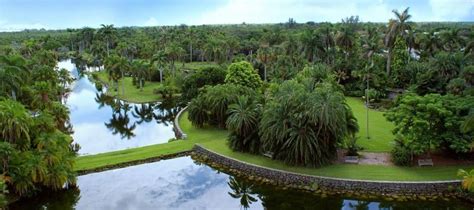Best Things To Do At Fairchild Tropical Botanic Garden Mommy Nearest
