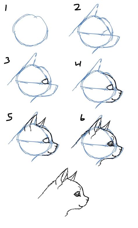Everything you need to know about drawing cartoon cats! 17 Best images about DRAW CAT EYEY on Pinterest | Dragon ...