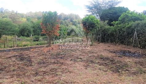 For Sale Quarter Acre Residential Plot Ololua Ngong Kajiado Kenya