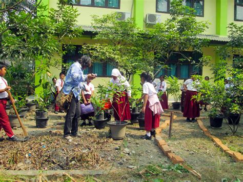 25 Contoh Taman Bunga Depan Sekolah Yang Wajib Diketahui Informasi