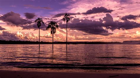 Wallpaper Beach, bay, palm trees, sunset, purple 1920x1080 Full HD 2K ...