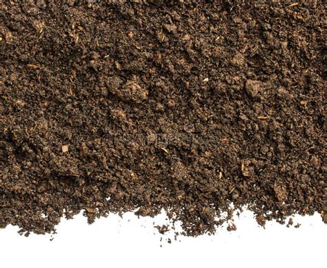 Dark Soil On White Backgroundtop View Of A Soil Stock Image Image Of