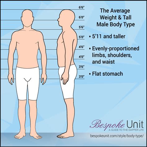 Average Weight And Tall Male Body Type How To Dress A Tall Guy