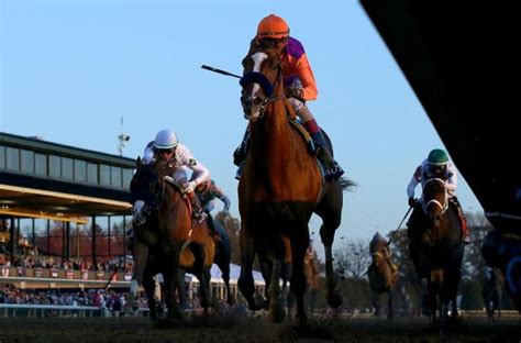 Authentic And Gamine Rack Up Breeders Cup Wins Equine Ink