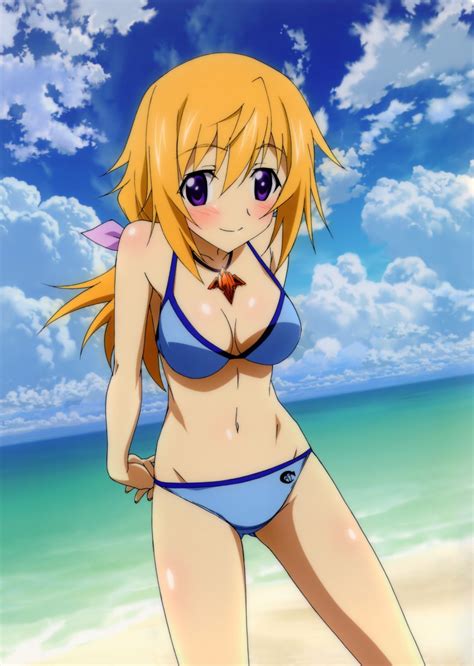 Charlotte Dunois Infinite Stratos Absurdres Highres Official Art