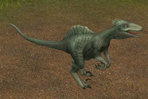 Spinoraptorjw Tg Jurassic Park Wiki Fandom