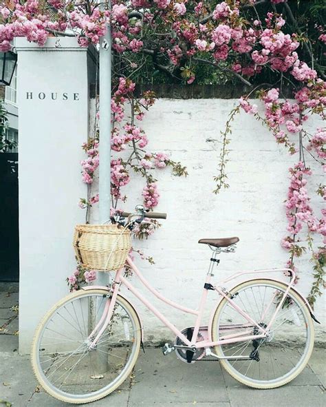 A pretty bouquet of flowers tied with a satin ribbon for samantha to carry in the basket. pink bike | Spring aesthetic, Spring vibes, Flowers