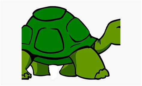 Slow Turtle Clipart 10 Free Cliparts Download Images On Clipground 2024