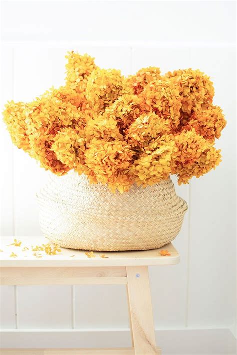 Burnt orange flowers fake roses wholesale for wedding table decoration home arrangement. Pack of 3 - Burnt Orange Preserved Hydrangeas | Preserved ...