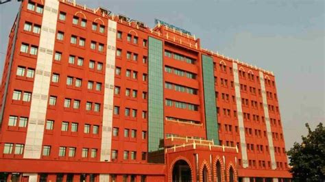 Orissa High Court Addresses Cattle Custody Violations - TheDailyGuardian