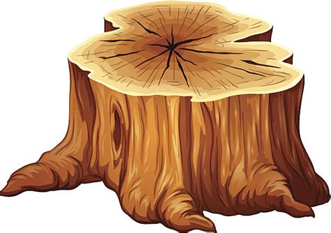 Tree Stump Clip Art Vector Images And Illustrations Istock