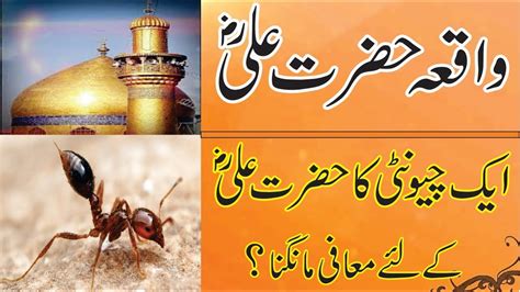 Hazrat Ali R Z Or Chunti Ka Waqia History In Urdu Hindi Urdu Story