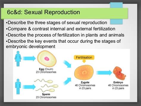 Sexual Reproduction
