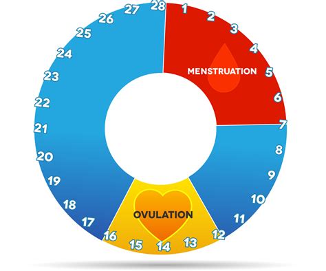Menstrual Cycle And Fertility Calendar Tonia Griselda