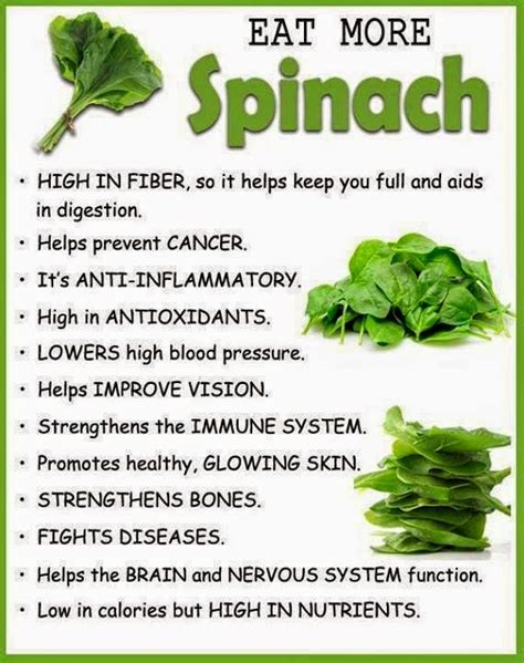 The Health Benefits Of Spinach Health Tips Hot Sex Picture