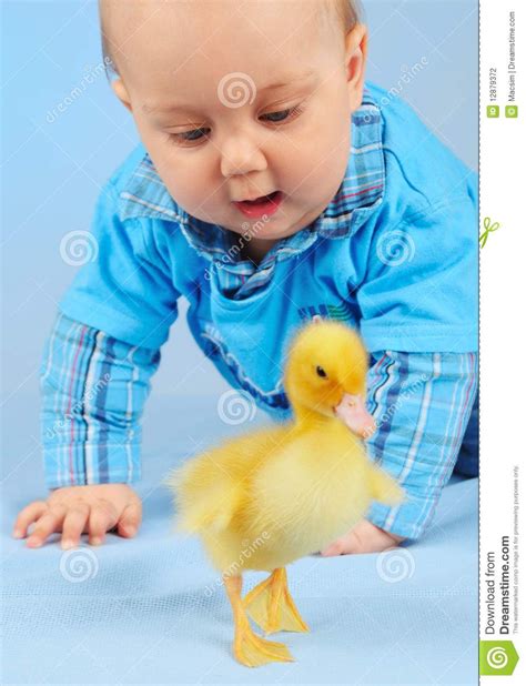 Honey baby and duck | Baby ducks, Baby, Duck