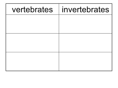 Pdf an introduction to the invertebrates second edition daga anzaldo academia edu. Pin by Lorrie Blackard Friet on Printable Worksheets | Printable worksheets, Invertebrates ...