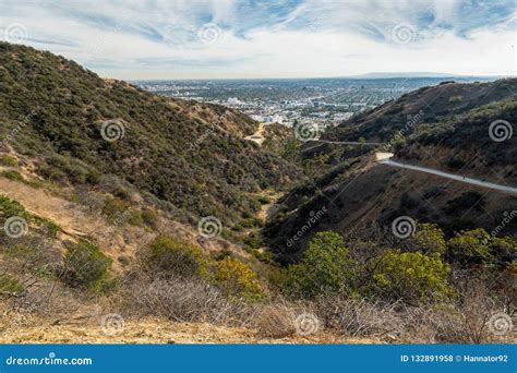 Runyon Canyon Park Los Angeles Stock Photo Image Of Forest