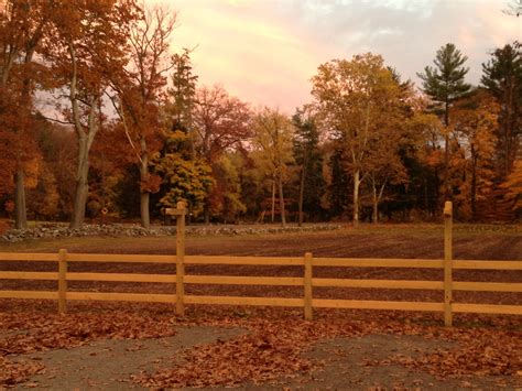 Front Field In Fall Landscape Trees Landscape Country Roads