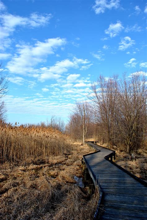 There's plenty of space, green grass for kids to run around on, volleyball nets, playgrounds, and fairly clean bathrooms and other facilities. Nature walk at Maumee Bay state park | Travel spot, Ohio ...