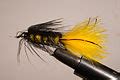 Cheap Oily Fish Images