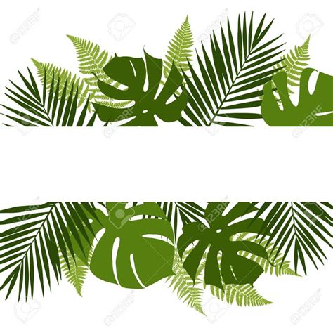 328777 Jungle Stock Vector Illustration And Royalty Free