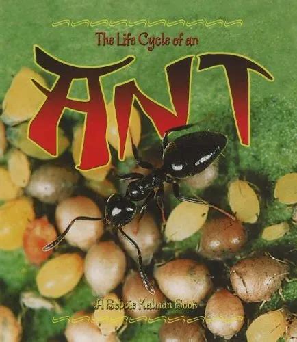 The Life Cycle Of An Ant Bobbie Kalman £349 Picclick Uk